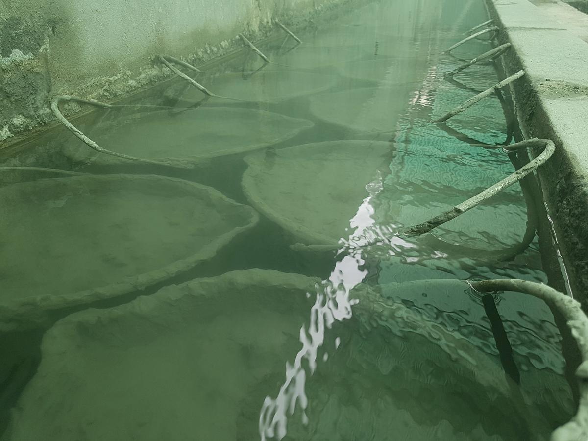 Hotel Terme Villa Piave Abano Terme Bagian luar foto