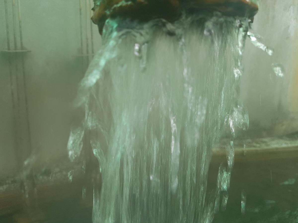 Hotel Terme Villa Piave Abano Terme Bagian luar foto